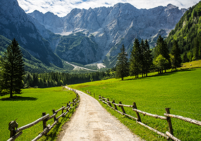 Slovenya-Green